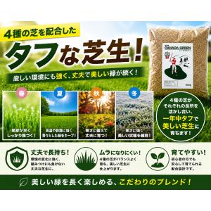 芝生の種 ニューカナダグリーン1袋 約944g...の詳細画像2