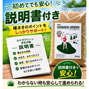 芝生の種 ニューカナダグリーン1袋 約944g...の詳細画像3