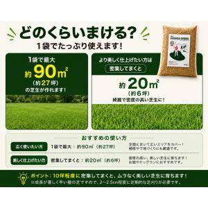 芝生の種 ニューカナダグリーン1袋 約944g...の詳細画像4