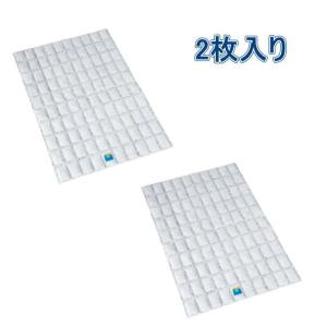 強力消臭＆除湿シート 押入れ用 2枚入り フォーラル 消臭 除湿 押入れ 押し入れ タンス 箪笥 湿気取り センサー セミア シリカゲル カビ 防止 梅雨 湿気