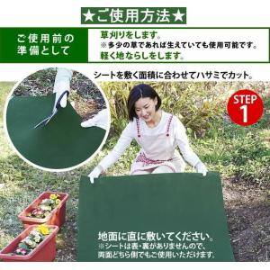 【即納】手間いらず雑草防止シート 1×10m ...の詳細画像4