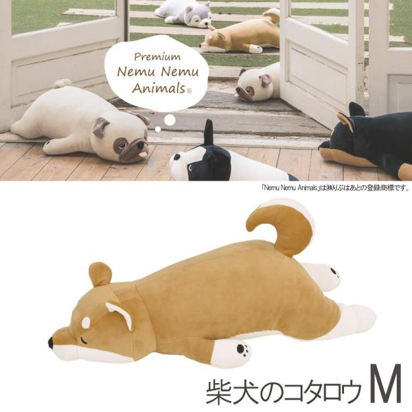 【即納】抱き枕  プレミアムねむねむ 抱きまくら Mサイズ 柴犬のコタロウ ねむねむ  柴犬 コタロ...
