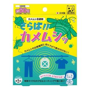 即納☆ 在庫限り さよならカメちゃん 掛けタイプ 2個組 [Z3141