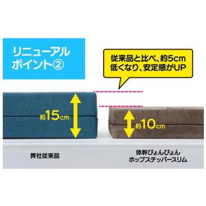 体幹ぴょんぴょん ホップステッパースリム ブラ...の詳細画像2