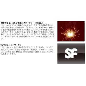【即納】ドリームキャンドルデラックス お誕生日...の詳細画像5