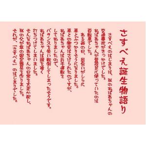 【即納】自転車用傘スタンド さすべえPART-...の詳細画像1