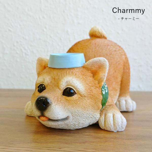 Charmmy(チャーミー) チャーミーレジン　柴犬　伏せ 72788
