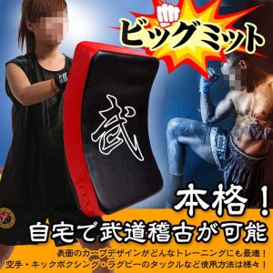 ダミーミット ビッグミット 打撃ミット 本格 ...の詳細画像1