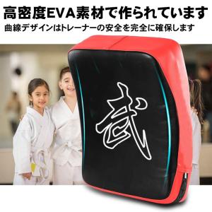 ダミーミット ビッグミット 打撃ミット 本格 ...の詳細画像2