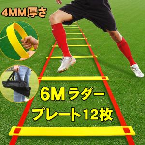 トレーニング ポール サッカー ラダー 6m セット アジリティポール5本