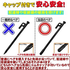 スチールペグ 20cm 6本セット キャンプテ...の詳細画像5