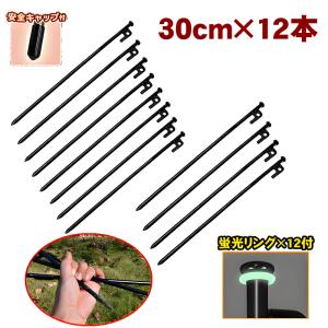 スチールペグ 30cm 12本セット キャンプテントステーク鋳造 高耐久 スチールテントペグ 雑草生地固定 テント タープ用固定釘