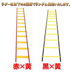 ハードル トレーニング ラダー 6m ミニハー...の詳細画像2