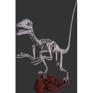 予約販売］【関東限定送料無料】大型 恐竜骨格フィギュア 長さ180cm