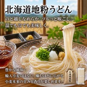 うどん 乾麺 うどん乾麺 北海道地粉 藤原製麺...の詳細画像1