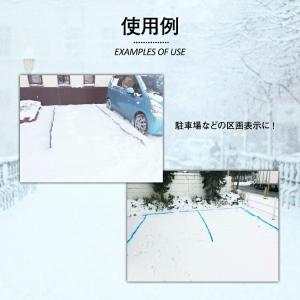アサヒペン 油性スプレー 雪上マーキングスプレ...の詳細画像4