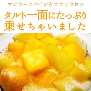 王様のタルト 4.5号サイズ マンゴー パイナ...の詳細画像1