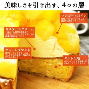 王様のタルト 4.5号サイズ マンゴー パイナ...の詳細画像3