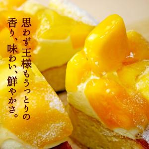 王様のタルト 4.5号サイズ マンゴー パイナ...の詳細画像5