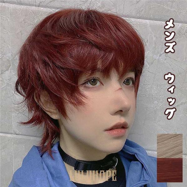 ウィッグ メンズ 日常 自然 小顔 キュート 耐熱ウィッグ 通気性抜群 53 wig かつら つけ毛...