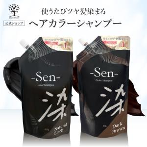公式】【2個セット】 白髪染め シャンプー 450g 1本で3役 カラー 公式】【2個セット】 白髪染め シャンプー 450g 1本で3役 カラー
