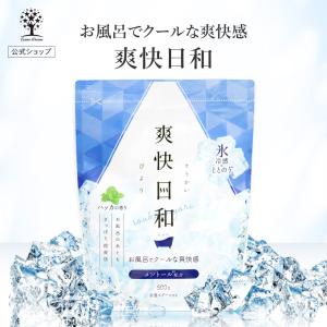 入浴剤 25回分 500g COOL クール 氷...の商品画像