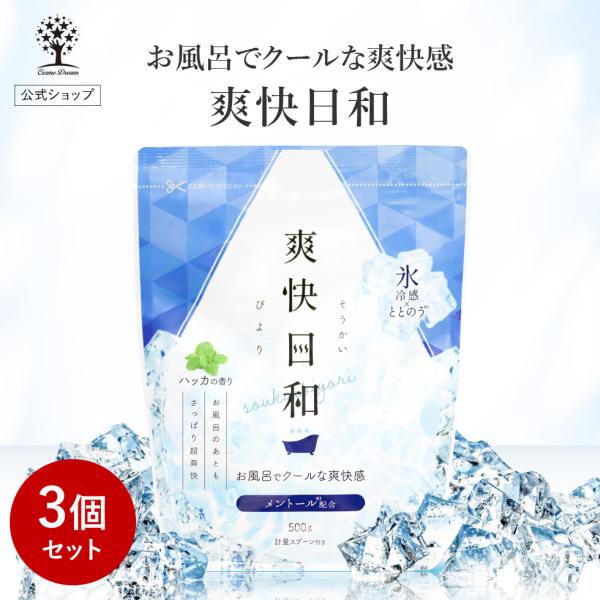 入浴剤 25回分 3個セット COOL クール 氷 冷感 ハッカの香り メントール ミント さっぱり...