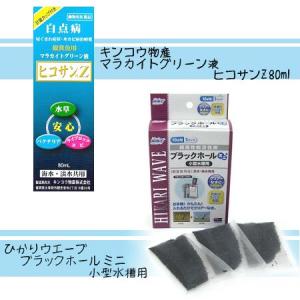 【2点セット】 動物用医薬品 マラカイトグリーン液　ヒコサンZ　80ml ＋ ひかりウエーブ ブラックホール ミニ 小型水槽用