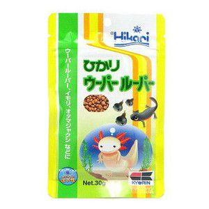 ひかり ウーパールーパー