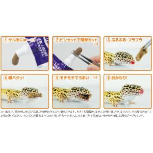 メール便対応 ひかり レオパゲル 60g ヒョ...の詳細画像1