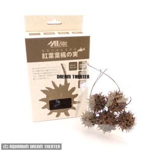AIネット 紅葉葉楓の実 もみじばふうのみ 5個入