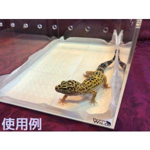 消臭・防カビ ペットシーツ ミニミニサイズ 爬...の詳細画像1