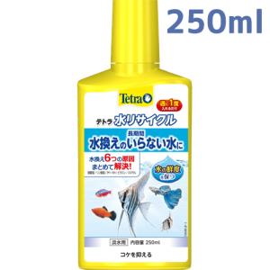 熱帯魚 水槽 水換え不要の商品一覧 通販 Yahoo ショッピング