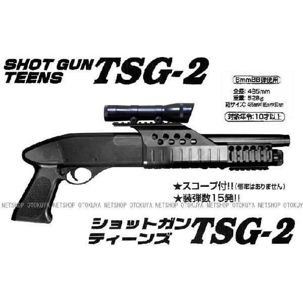 エアーショットガン ティーンズ TSG-2 (4973042140125)