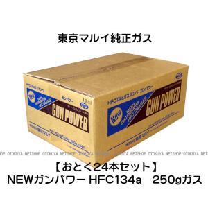 ■お得２４本セット■ NEW ガンパワー HFC134a 250g フロンガス（２４本セット）