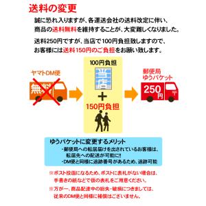 表札 マンション ポスト用 ネームプレート 長...の詳細画像5