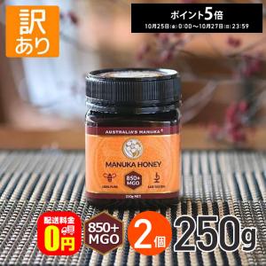 全品ポイント5倍は4/29の23:59まで♪★ ◆訳あり◆アクティブ マヌカハニー MGO850+ 250g 2個 送料無料 賞味期限【2025年6月16日】｜dreamcl