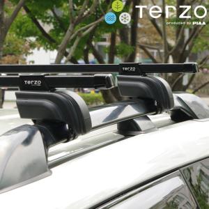 TERZO クロストレック GUD GUE （ルーフレール付車） スキー