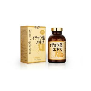 【24個セット】イチョウ葉エキス(サプリメント...の詳細画像1