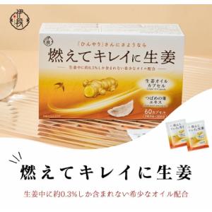 在庫限り】伊段 燃えてキレイに生姜オイル 温活（405mg×60カプセル