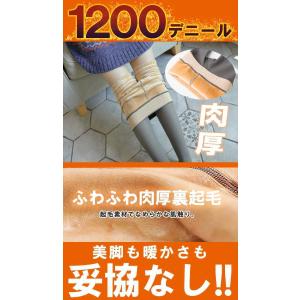 フェイクタイツ トレンカ 透けて見えるタイツ ...の詳細画像2