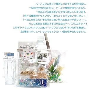 母の日 プレゼント ギフト 花 フラワーギフト...の詳細画像2