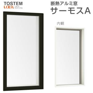 サーモスA FIX窓(内押縁タイプ) 11909 W1235×H970mm 複層ガラス アルミ