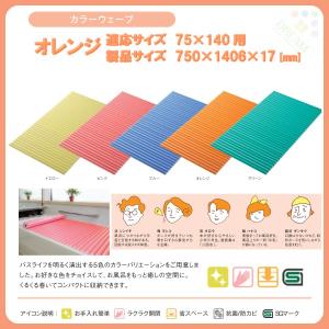 東プレ 風呂フタ カラーウェーブ M10 適応サイズ70×100cm用 幅700×奥行