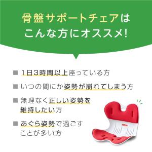 骨盤サポートチェア 猫背対策 腰痛対策 姿勢校...の詳細画像1