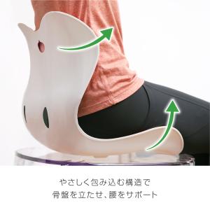骨盤サポートチェア 猫背対策 腰痛対策 姿勢校...の詳細画像2