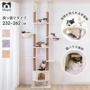 キャットタワー 突っ張り型 丸い透明宇宙船 猫ハウス 省スペース 高さ232〜262cm TX00264