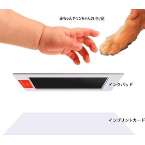汚れない インクタッチなし スタンプ ワンちゃ...の詳細画像3