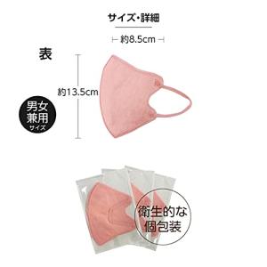 [医食同源ドットコム] iSDG 立体型スパン...の詳細画像5