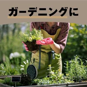 コールマン アース極太 虫よけ線香 吊り下げ式...の詳細画像3